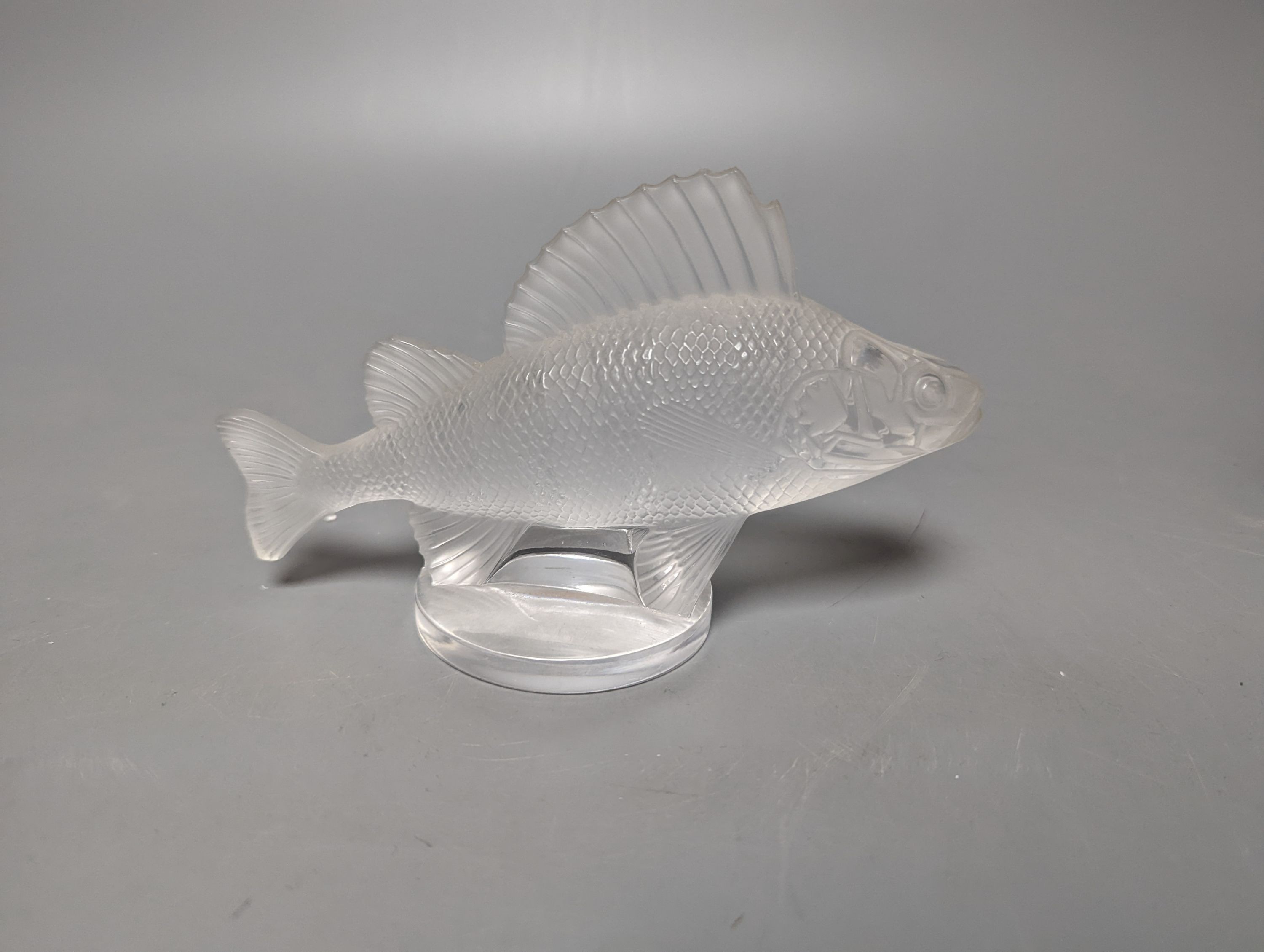 A Lalique clear and frosted glass Perche Poisson / Perch Fish car mascot, engraved mark Lalique France, 6cm long
